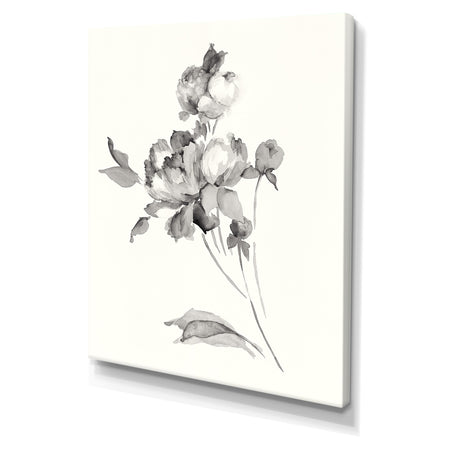 Peony Blossoms Gray - Cottage Canvas Wall Art