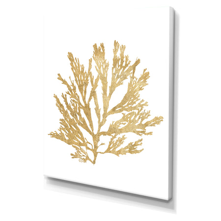 Pacific Sea Mosses I Gold - Cottage Canvas Wall Art