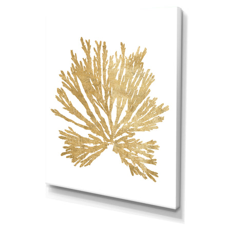 Pacific Sea Mosses II Gold - Cottage Canvas Wall Art