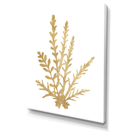 Pacific Sea Mosses III Gold - Cottage Canvas Wall Art