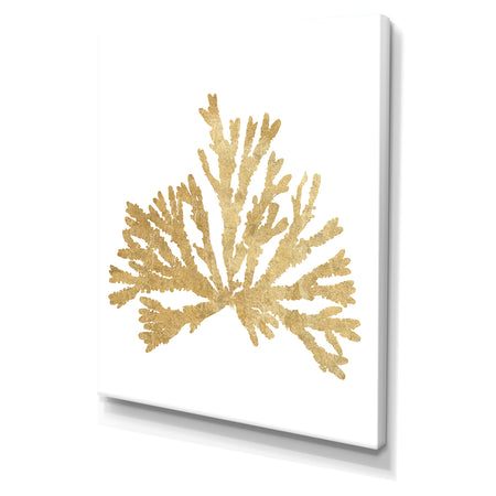 Porch Den 'Pacific Sea Mosses IV Gold - Cottage Canvas Wall Art