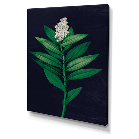 Dramatic Tropical III - Tropical Canvas Wall Art