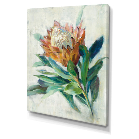 RW Protea - Cottage Canvas Wall Art
