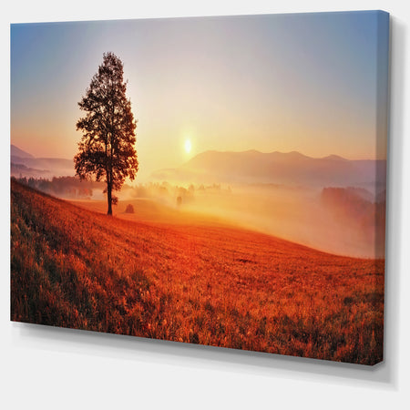 Tree and Sun - Landscape Photography Canvas Art Print