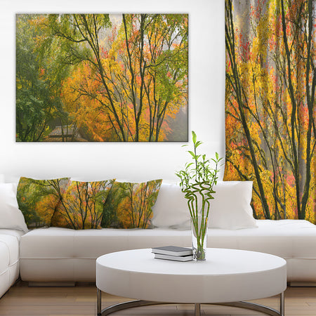 Canopy of Maple Trees in Fall Floral Photo Canvas Print
