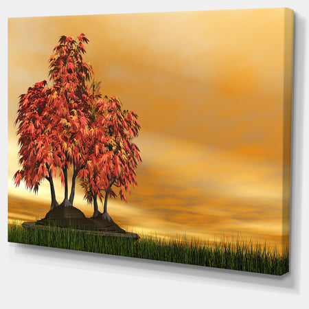 Bonsai Landscape Photography Canvas Art Print