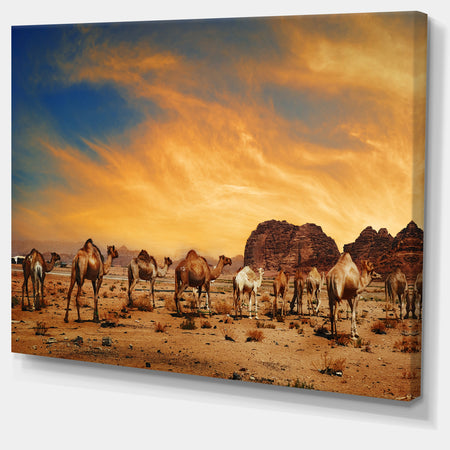 Camels in Wadi Rum Photography Canvas Art Print