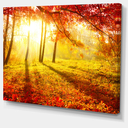 Autumnal Park - Landscape Photography Canvas Art Print