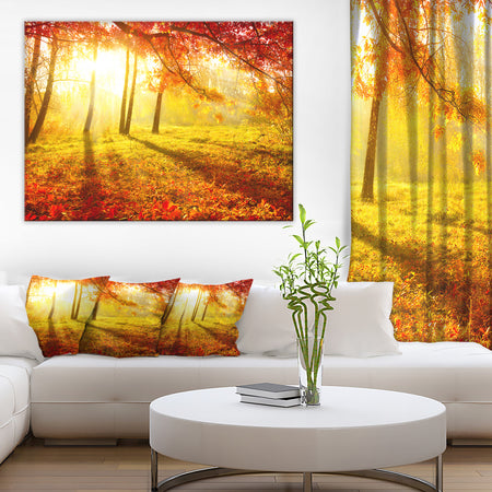 Autumnal Park - Landscape Photography Canvas Art Print