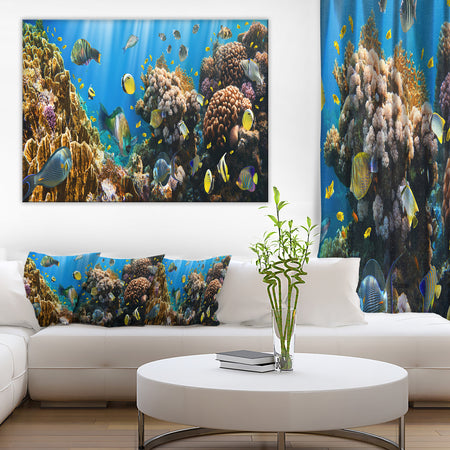 Coral Colony Panorama - Photography Canvas Art Print