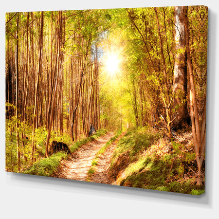 Autumn in Denmark Photo- Landscape Canvas Print