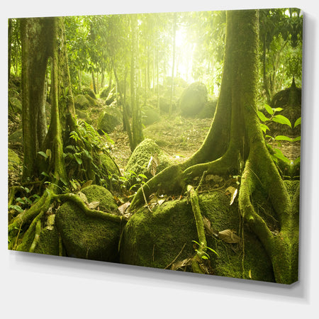 Green Forest with Sun - Landscape Photo Canvas Print