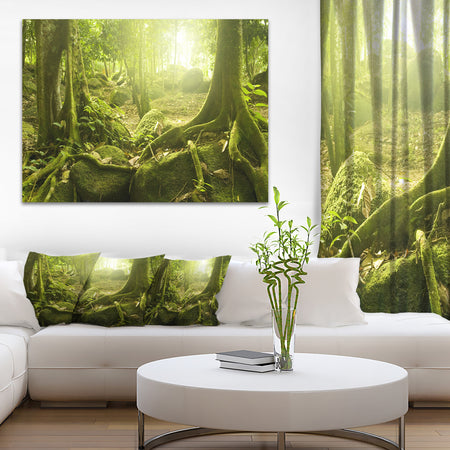 Green Forest with Sun - Landscape Photo Canvas Print