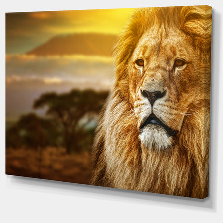 Lion and Mount Kilimanjaro - Animal Digital Art Canvas Print