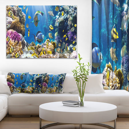 Fish in Coral Reef - Seascape Photography Canvas Print