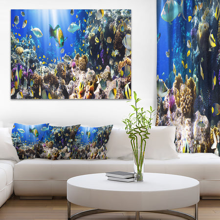 Coral Colony and Coral Fish - Seascape Photo Canvas Print