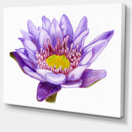 Hand'drawn Purple Lotus - Floral Art Canvas Print