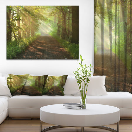 Suns Peeks into Forest - Landscape Photo Canvas Print