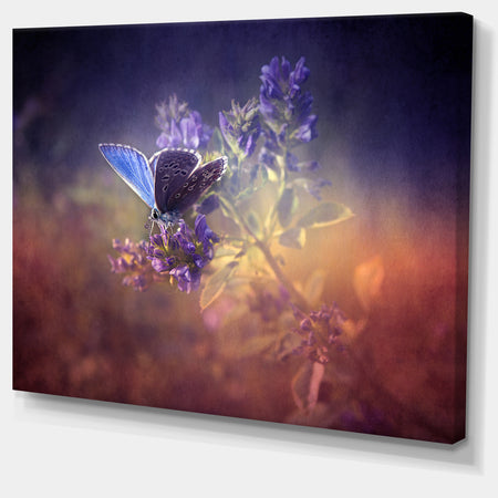 Vintage Butterfly - Digital Art Floral Canvas Print