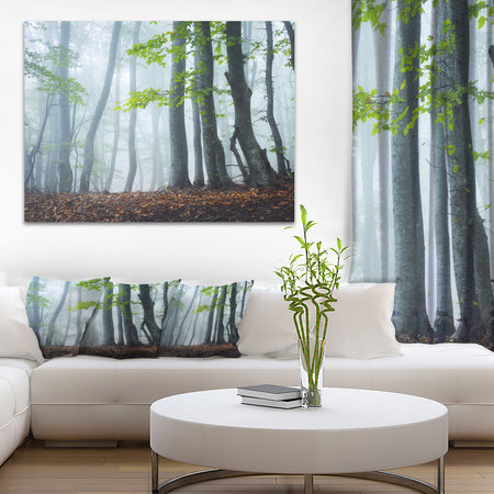 Green Leaves in Old Forest - Landscape Photo Canvas Print