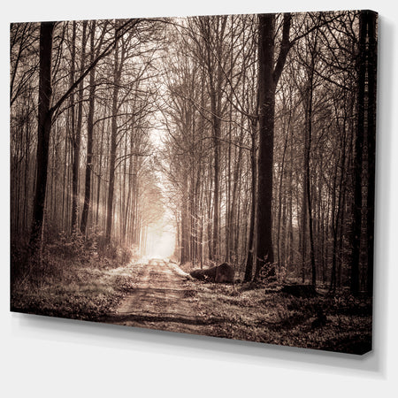 Forest Trail in Sepia - Landscape Photography Canvas Art Print