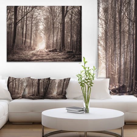 Forest Trail in Sepia - Landscape Photography Canvas Art Print