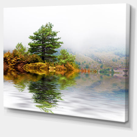 Pine Tree with Reflection - Landscape Photo Canvas Print