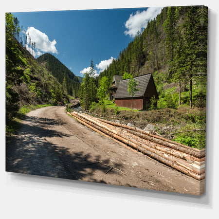 Road in Chocholowska Valley - Landscape Art Print Canvas