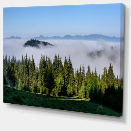Green Trees and Fog Over Mountains - Landscape Art Print Canvas