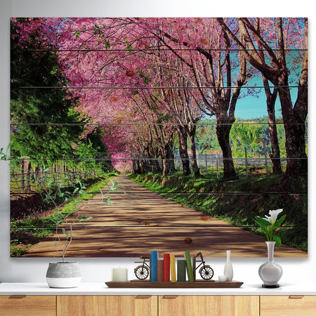 Cherry Blossom Pathway in Chiang Mai - Landscape Print on Natural Pine Wood