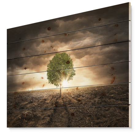 Lonely Tree under Dramatic Sky - Wall Art Landscape Print on Natural Pine Wood