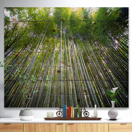 Bamboo forest of Kyoto Japan. - Forest Print on Natural Pine Wood
