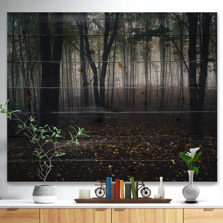 Dark Spooky Misty Wild Forest - Forest Print on Natural Pine Wood