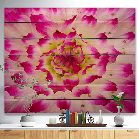 Smooth White Rose Flower Petals - Floral Print on Natural Pine Wood