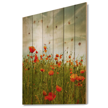 Red Poppy Flowers in Green Field - Floral Print on Natural Pine Wood