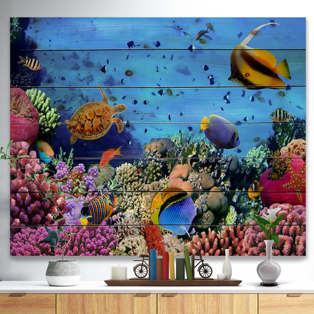Coral Colony on Reef Egypt - Animal Print on Natural Pine Wood