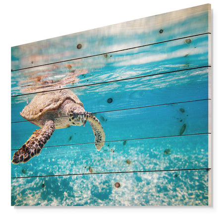 Large Hawksbill Sea Turtle - Abstract Print on Natural Pine Wood