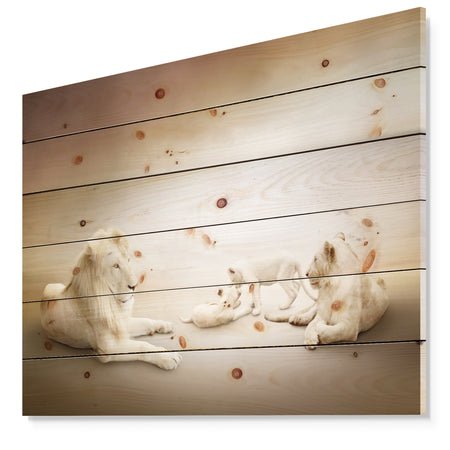 White Lion Family - Animal Print on Natural Pine Wood