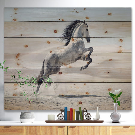 Galloping White Horse - Animal Print on Natural Pine Wood