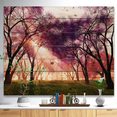 Cherry Blossoms Japan Garden - Landscape Print on Natural Pine Wood