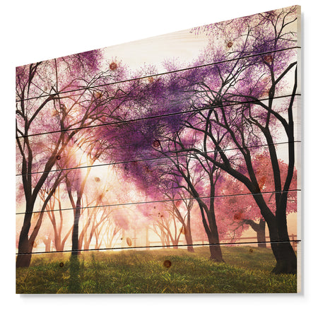 Cherry Blossoms Japan Garden - Landscape Print on Natural Pine Wood