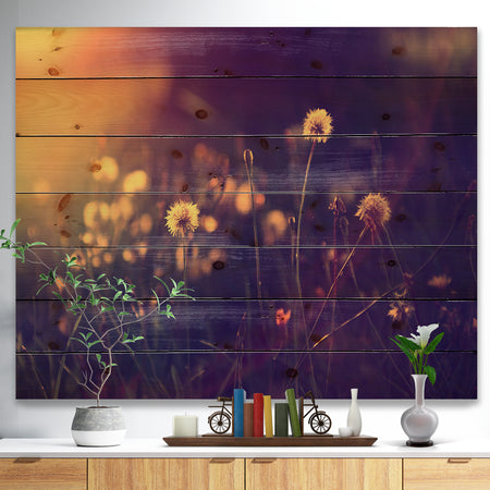 Vintage Dandelion Meadow Photo - Floral Print on Natural Pine Wood