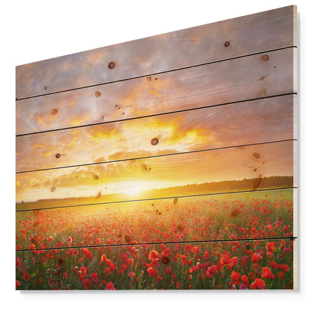 Poppy Field under Bright Sunset - Landscape Print on Natural Pine Wood