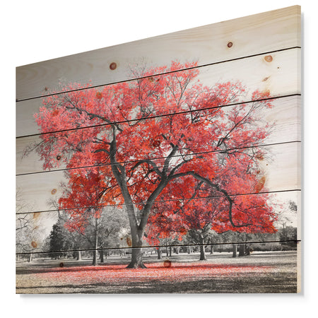 Big Red Tree on Foggy Day - Landscape Print on Natural Pine Wood