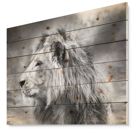 Grey Wild African Lion - Animal Print on Natural Pine Wood