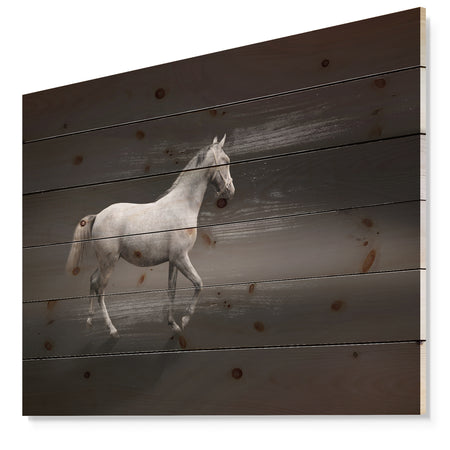 Gray Horse - Farmhouse Animals Photographic Print on Natural Pine Wood