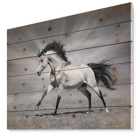 Chestnut horse in motion - Farmhouse Animals Photographic Print on Natural Pine Wood