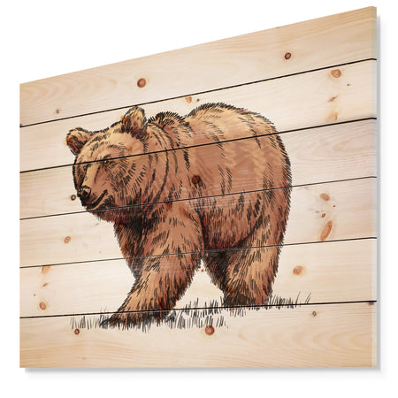Color engrave isolated grizzly bear - Animals Painting Print on Natural Pine Wood
