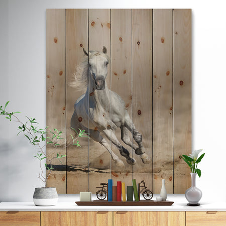 Grey arabian horse run in dust - Animals photographyPrint Print on Natural Pine Wood