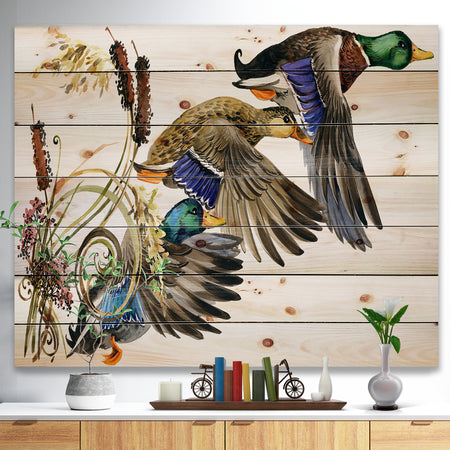 Three Flying Ducks in Colored illustration - Farmhouse Animal Painting Print on Natural Pine Wood